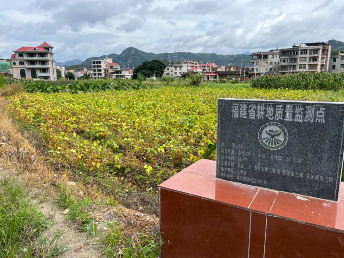 涵江区开展省级耕地质量监测点春大豆测产工作