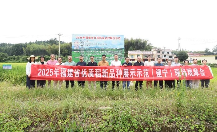 建宁：观摩会探讨水稻产业提质增效