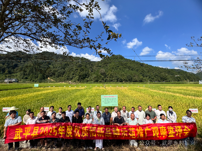 武平县召开2025年度优质稻新品种示范推广现场观摩鉴评会