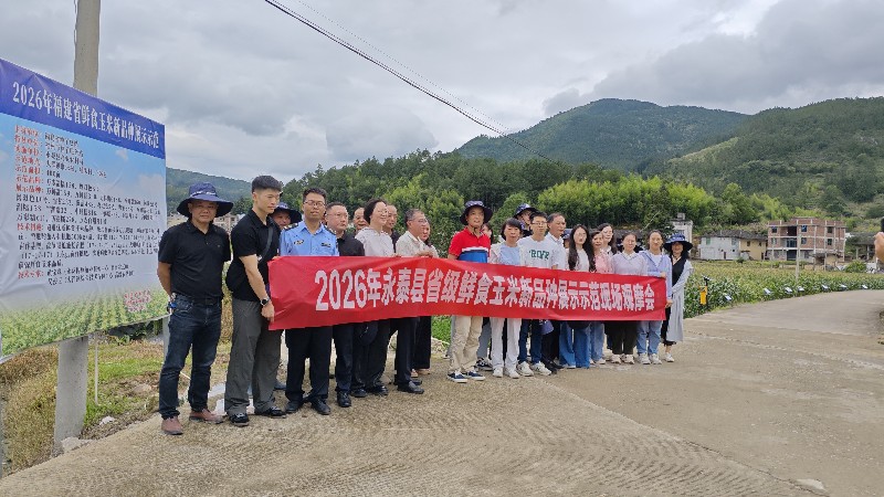 观摩筛选优良种 科技赋能兴产业——永泰县开展2026年省级鲜食玉米新品种展示示范现场观摩品鉴会